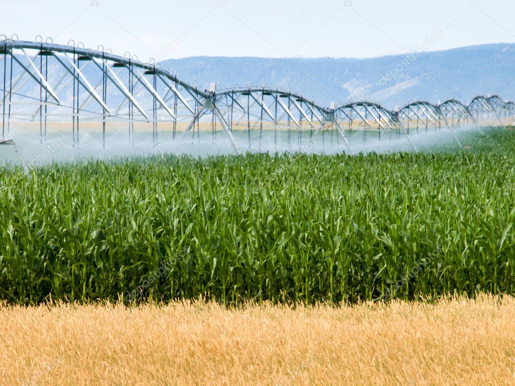 Farm Irrigation