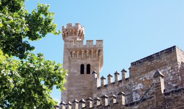 bir Palma de mallorca