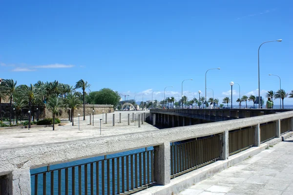 Palma de mallorca —  Fotos de Stock