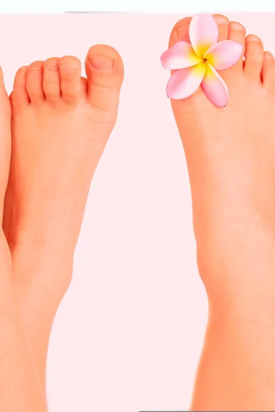 Feet with Plumeria blossom — Stock Photo, Image