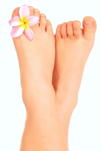 Bambino piedi piccoli nudi con fiore — Foto Stock