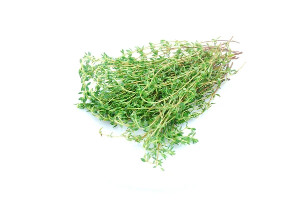 Bunch of thyme — Stock Photo, Image
