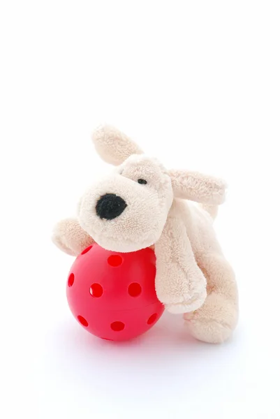 Pet brinquedo macio — Fotografia de Stock