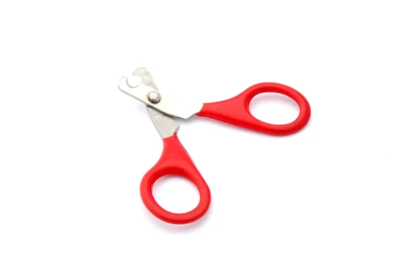 Claw scissors for pets — Stock Photo, Image