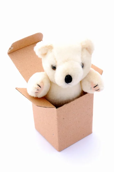 Medvídek v krabici — Stock fotografie