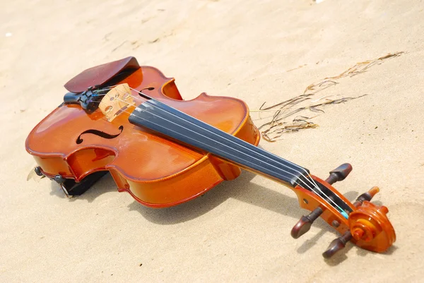 stock image Violin in sand