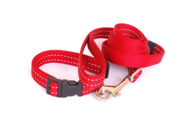 Dog collar with leach clipart