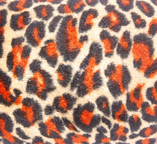 Tecido de pele de leopardo — Fotografia de Stock