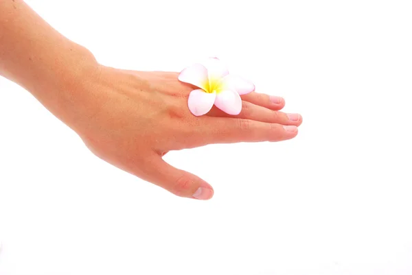 Çiçekli el — Stok fotoğraf