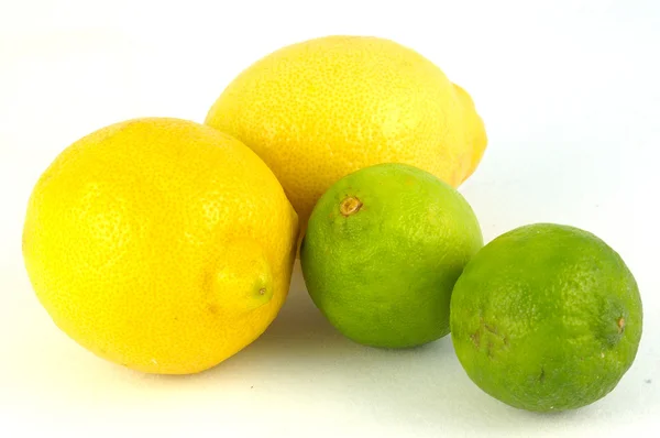 Friska citrus frukter — Stockfoto