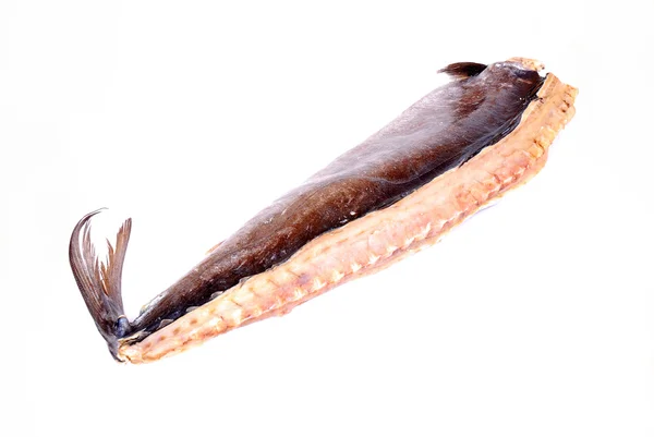 Snoek çiğ balık — Stok fotoğraf