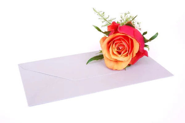信封与玫瑰 — 图库照片