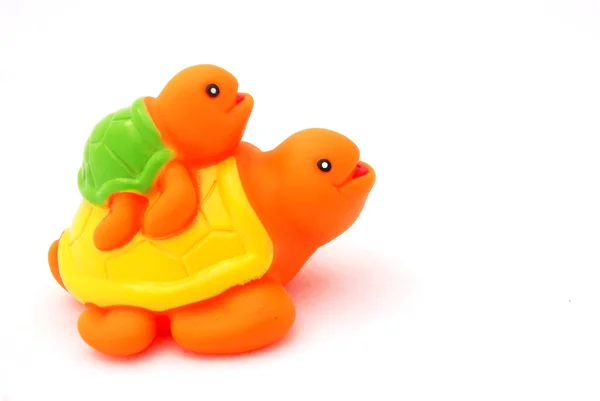 Brinquedo de tartaruga — Fotografia de Stock