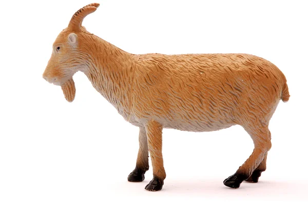 Brinquedo de cabra — Fotografia de Stock