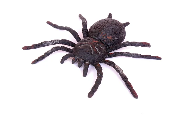 stock image Black spider toy