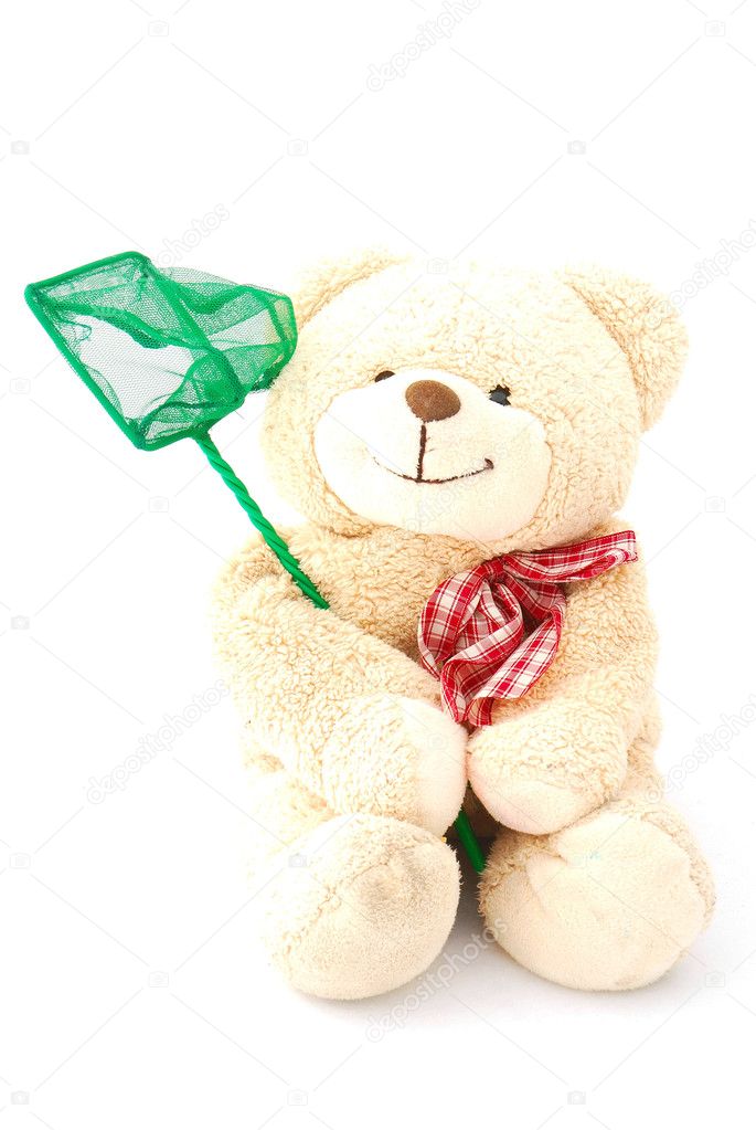 Teddy bear with fishing net