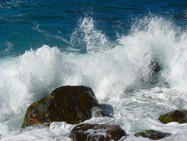 Bølge fra Svartehavet – stockfoto