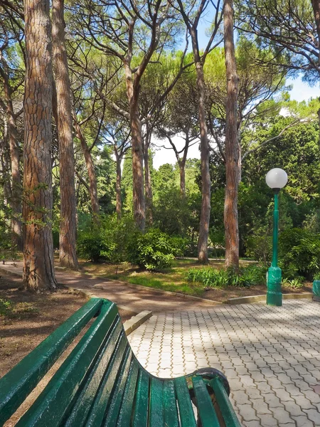 On the bench under the Italian pines — Stock Photo, Image