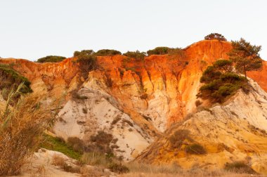 Algarve çam kayalıklarla