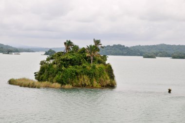 Gatun Lake of the Panama Channel clipart