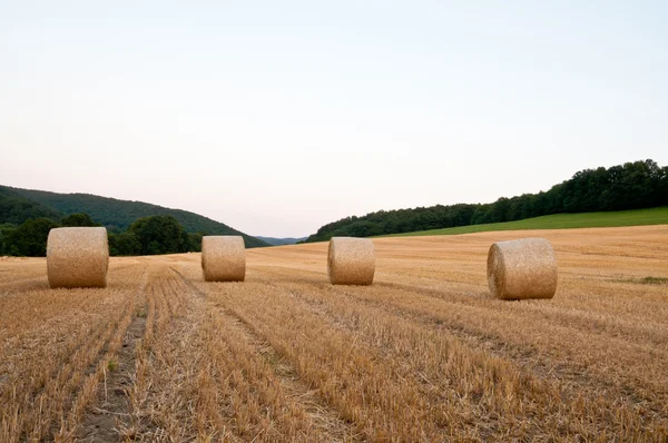 Rolls of straw in the field — Stock Photo, Image