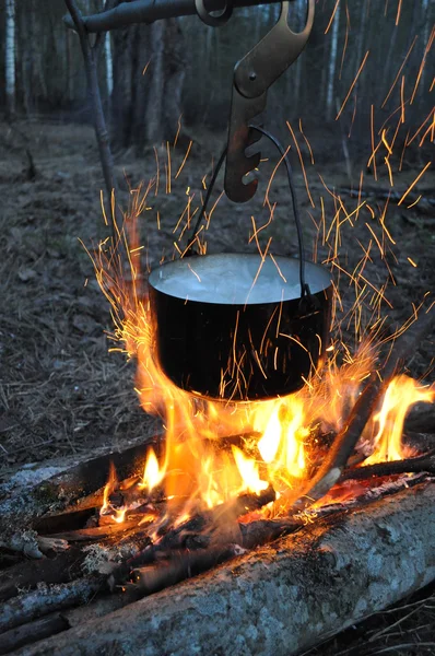 Magische casserole — Stockfoto