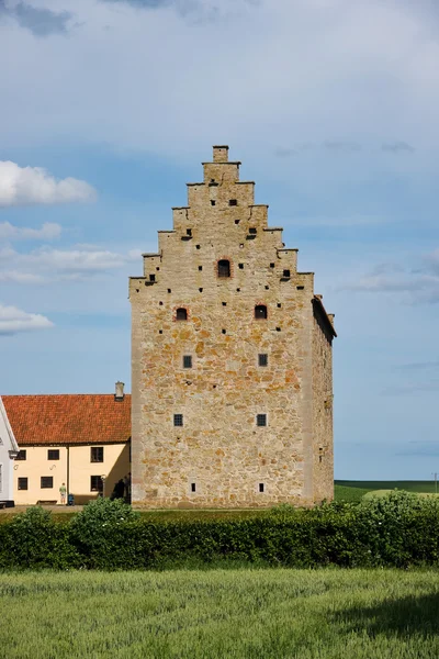 Glimminge замок — стокове фото