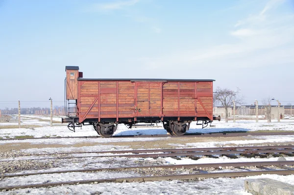 Auschwitz vagonundan resim — Stok fotoğraf