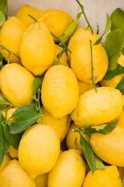 limon