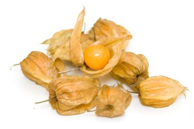 physalis meyve üzerinde beyaz izole