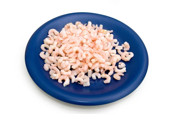 Garnélarák elszigetelt fehér kék tányéron — Stock Fotó