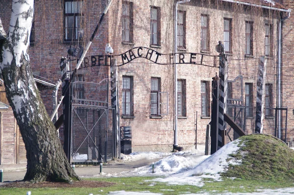 Photo avec panneau Auschwitz — Photo
