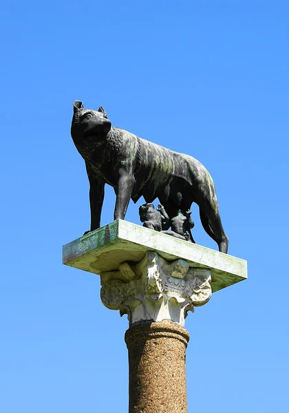 로마 늑대의 동상 — 스톡 사진
