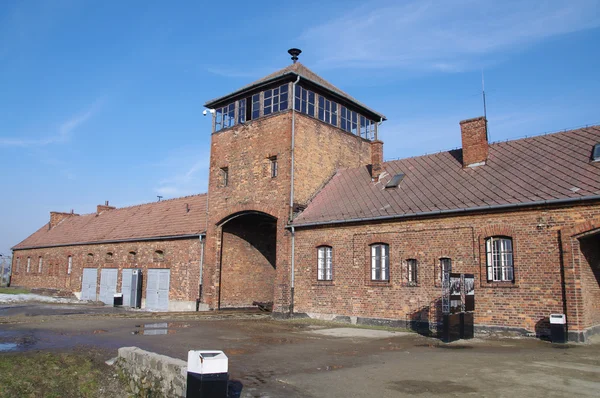 Photo d'Auschwitz — Photo