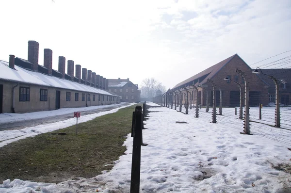 Immagine da Auschwitz — Foto Stock
