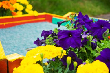 çiçekler ve mini golf sahası