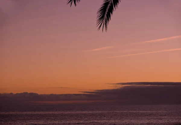 Zachód słońca w tropikach — Zdjęcie stockowe