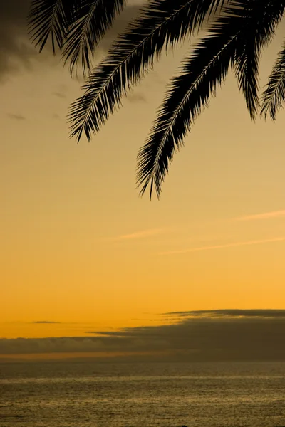 Solnedgång i tropikerna — Stockfoto