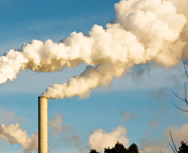 stock image Paper industry with smoke