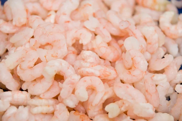 stock image Shrimps shrimps shrimps