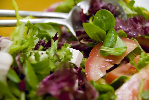 stock image Salad in closeup