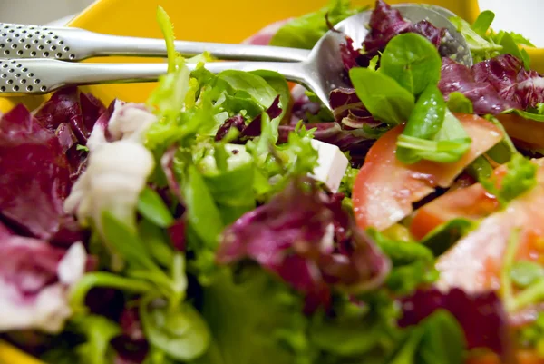 stock image Green salad