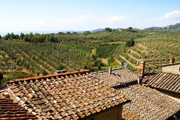 Roof tops in Tuscany — Φωτογραφία Αρχείου
