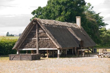 Viking evi