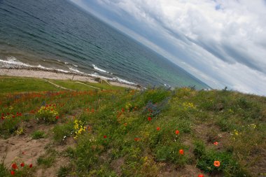 normandie kıyılarında