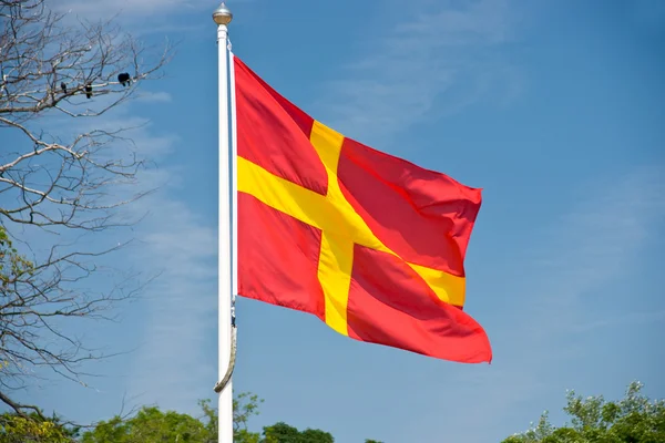 Флаг Скана — стоковое фото