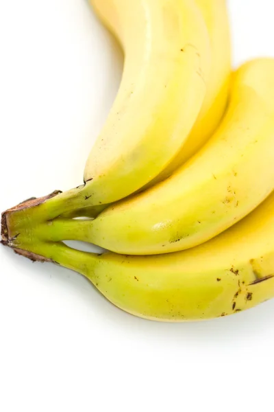 stock image Bananas on white background