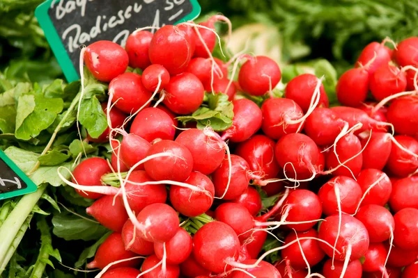 Pink and green colored string beans background. Vegetarian food