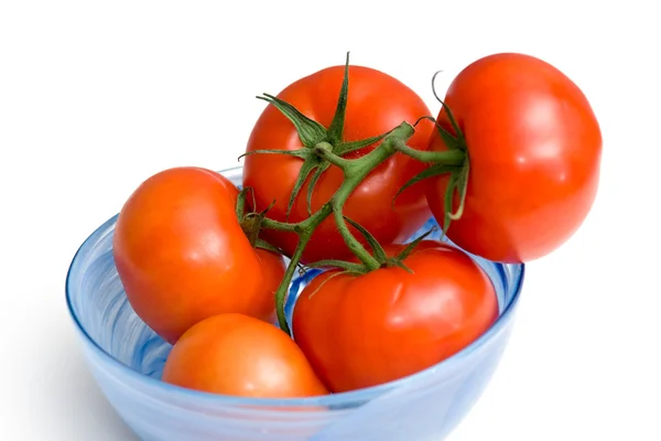 Rote Tomaten Stockbild