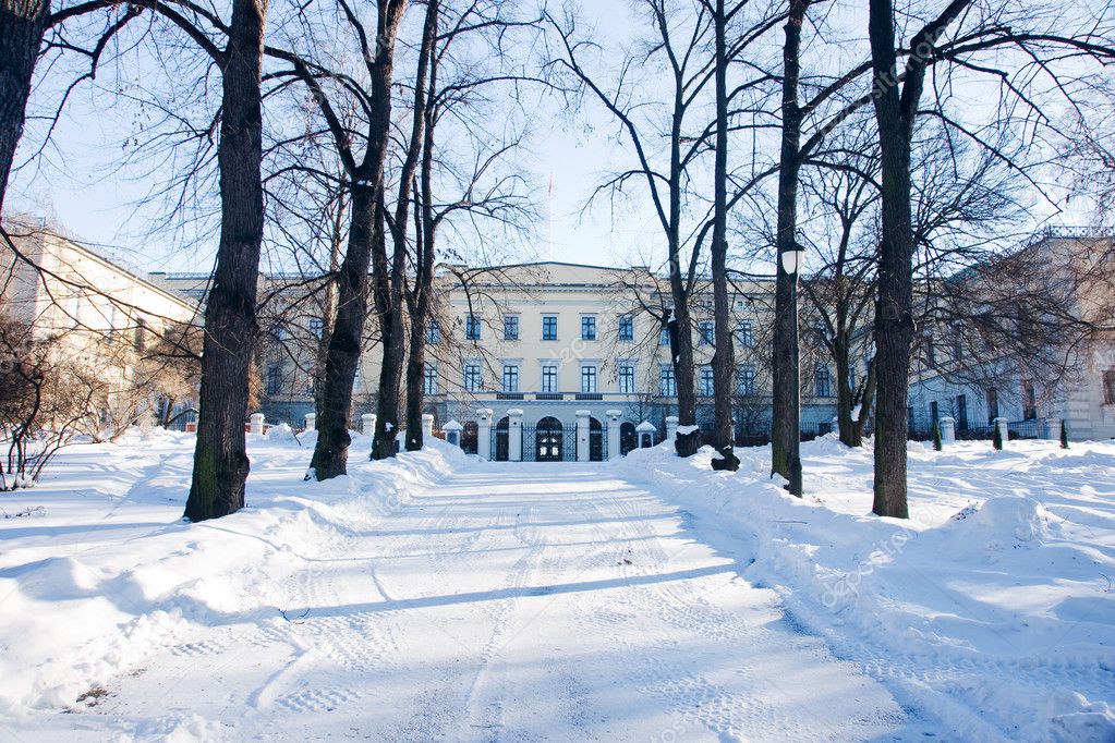 Royal castle in the winter
